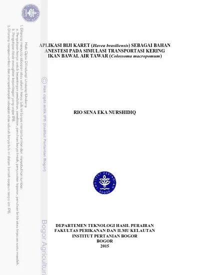 Aplikasi Biji Karet Havea Brasiliensis Sebagai Bahan Anestesi Pada Simulasi Transportasi Kering Ikan Bawal Air Tawar Colossoma Macropomum