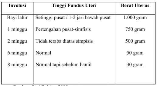 Penurunan Tinggi Fundus Uteri Landasan Teori