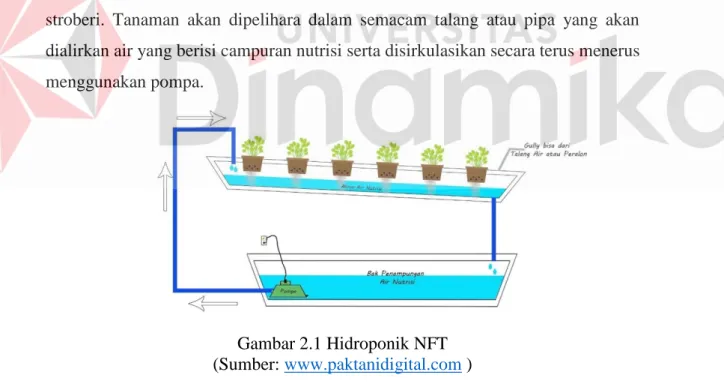 Nutrisi AB MIX - RANCANG BANGUN SISTEM HIDROPONIK NUTRIENT FILM ...